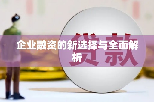 新龙企业融资的新选择与全面解析