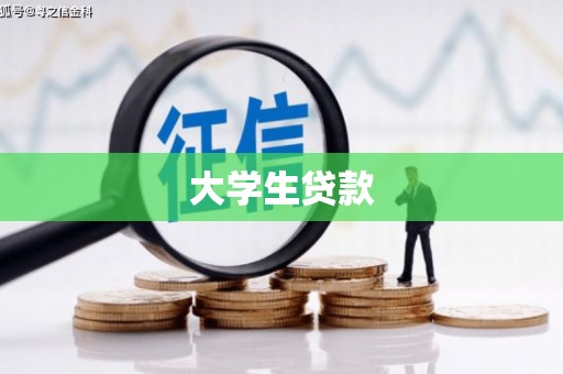 新龙大学生贷款