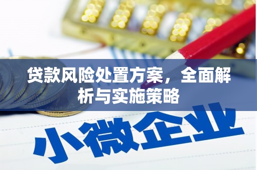 新龙贷款风险处置方案，全面解析与实施策略