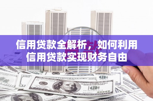 新龙信用贷款全解析，如何利用信用贷款实现财务自由