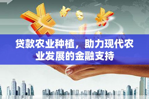新龙贷款农业种植，助力现代农业发展的金融支持