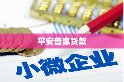 新龙平安普惠贷款