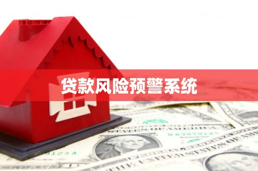 新龙贷款风险预警系统